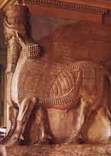 Skrzydlaty byk 
o ludzkiej twarzy z Asyrii, Luwr,Pary